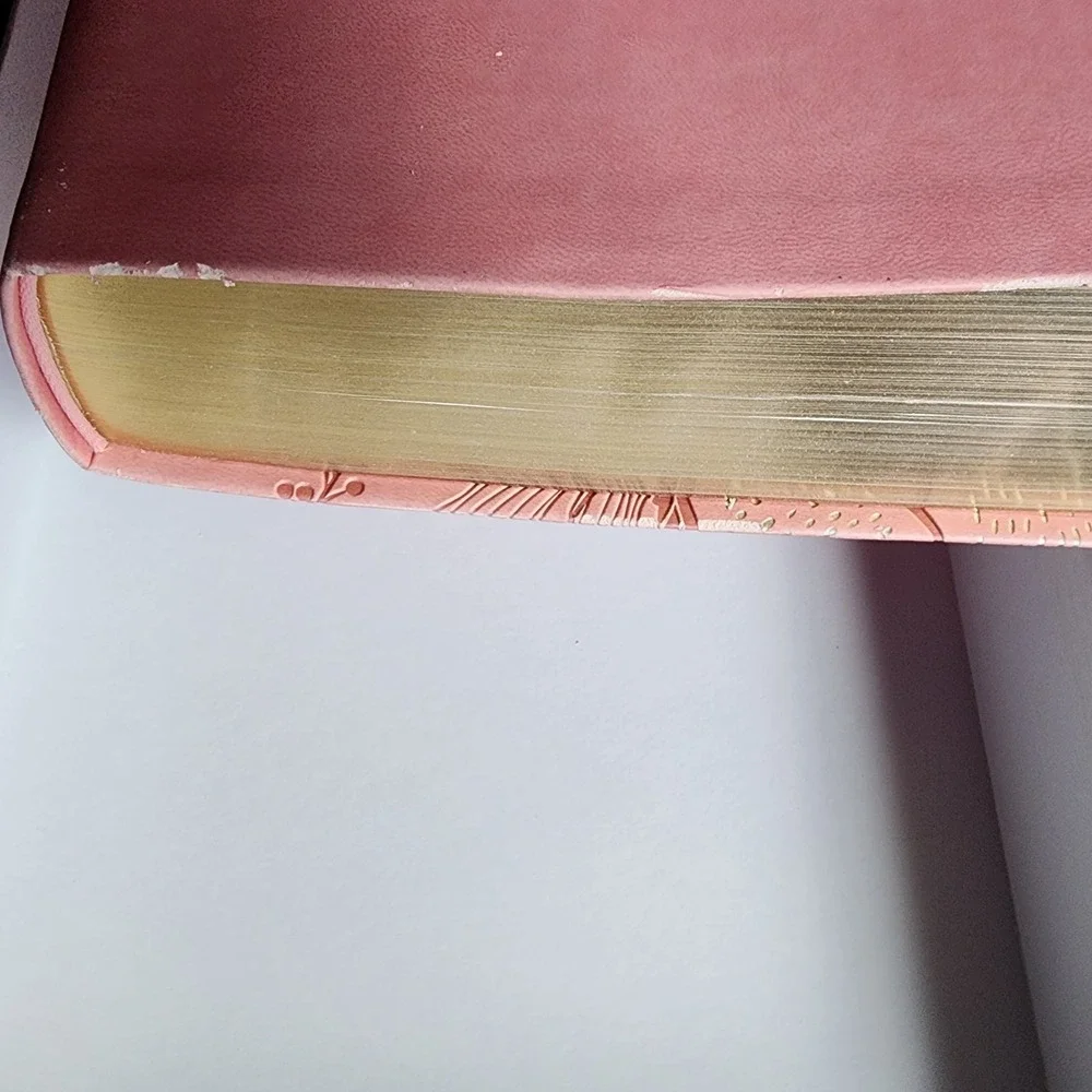 NIV Bible Giant Print Edition, Gold‎ Glid, Pink